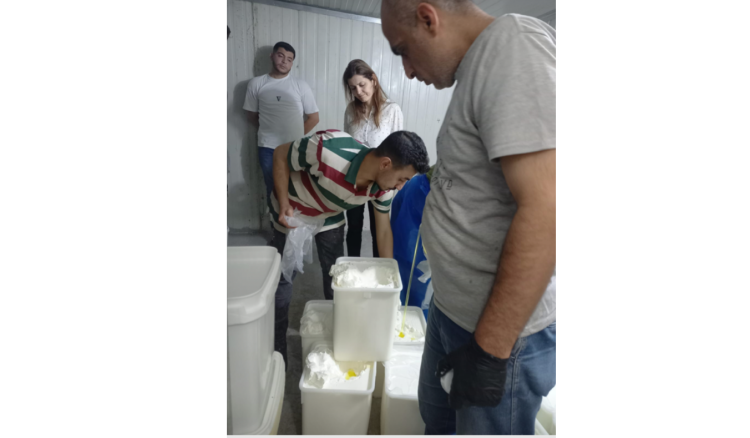 محضر ضبط في معمل ألبان وأجبان