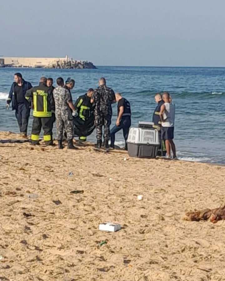 جثة مشوّهة على شاطئ رملة البيضاء..والتحقيقات جارية