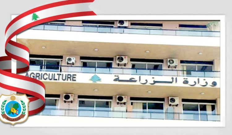 وزارة الزراعة تتابع ميدانياً نفوق رؤوس ماعز في عكار