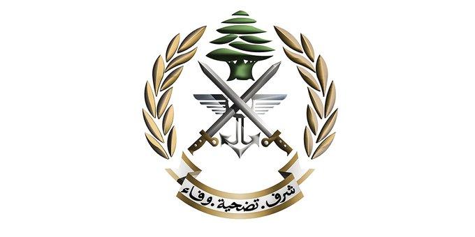 الجيش: توقيف أحد المسلحين الذين ظهروا أثناء إحدى المناسبات