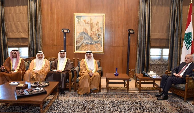 لقاءات بري