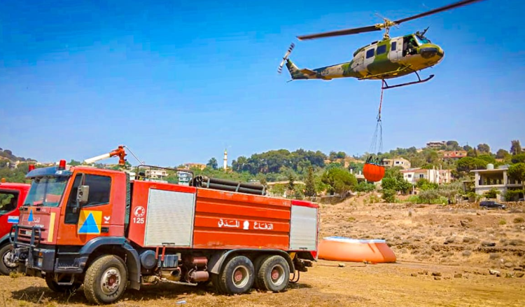 الدفاع المدني يواجه حرائق الغابات: المساس بالثروة الحرجية جريمة