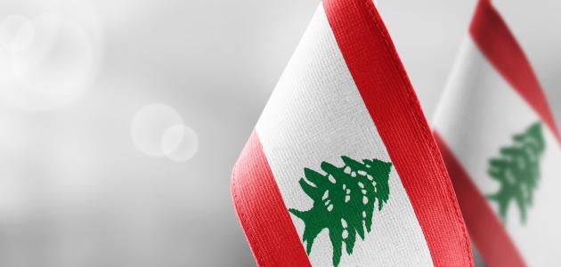 الرؤساء الجميل وسليمان والسنيورة وميقاتي وسلام: كلام نعيم قاسم يعيق استعادة الدولة لسلطتها الكاملة ويمنع عودة الاستقرار