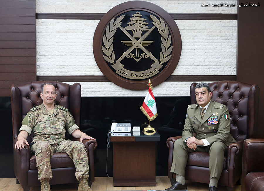 استقبالات قائد الجيش