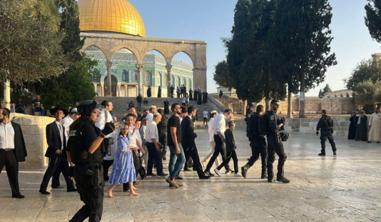 مستعمرون يقتحمون المسجد الأقصى
