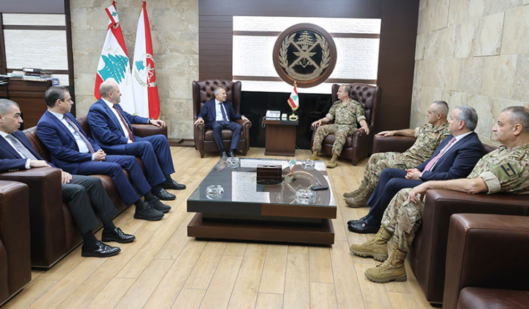 لقاءات قائد الجيش