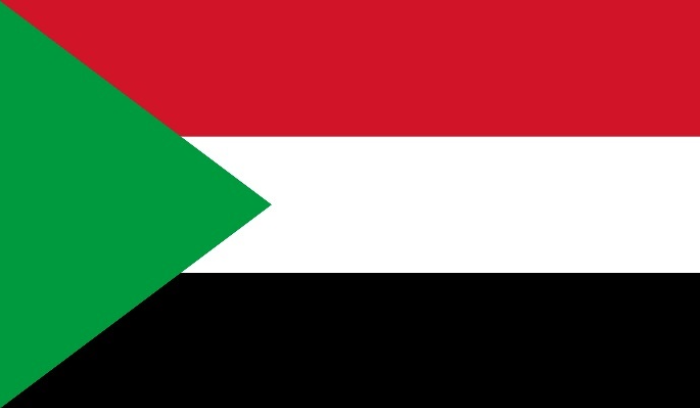 75 قتيلا في قصف للدعم السريع على مخيم للنازحين في دارفور غرب السودان