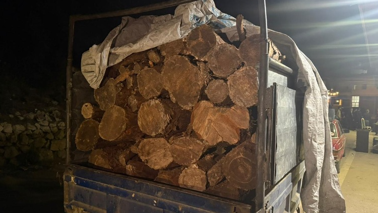 الزراعة تصادر حطبًا مقطوعًا عشوائيًا