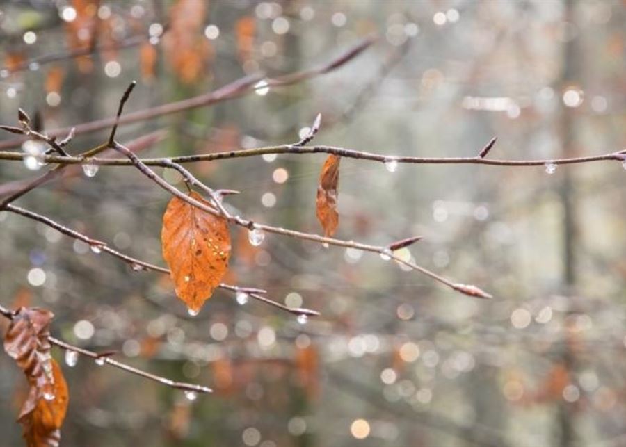 هل يبدأ موسم الأمطار الخريفية بعد أسبوع؟؟؟