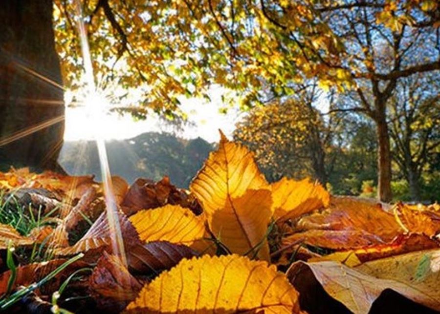 لا منخفضات جوية في الأفق... اليكم طقس الايام المقبلة