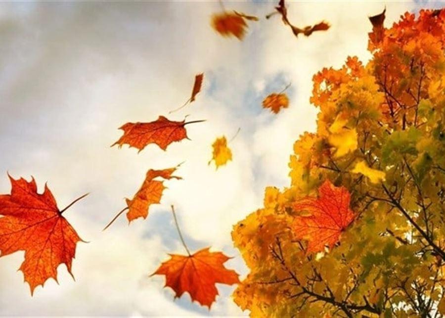 في أول أيّام تشرين الثاني.. خريفٌ مستقرّ!