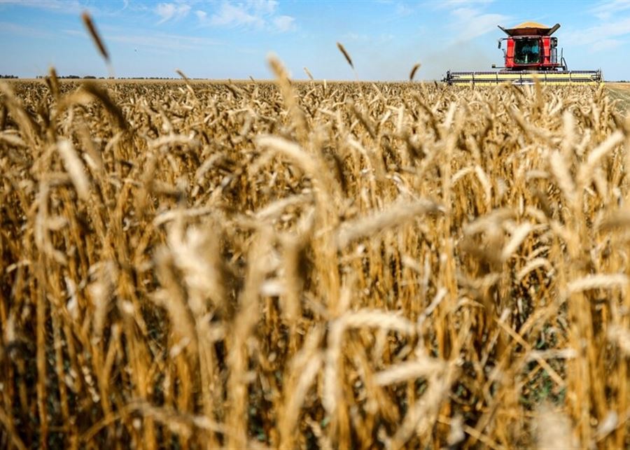 بوتين: روسيا أحد أبرز موردي الأغذية إلى السوق العالمية