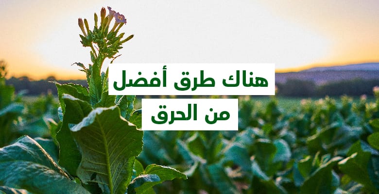 هناك طرق أفضل من الحرق