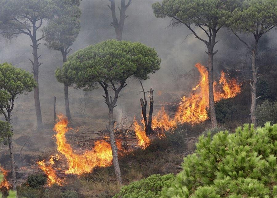 حريق المطلة والجليلية في الشوف يتواصل بفعل الرياح ومناشدات للمساعدة في السيطرة عليه