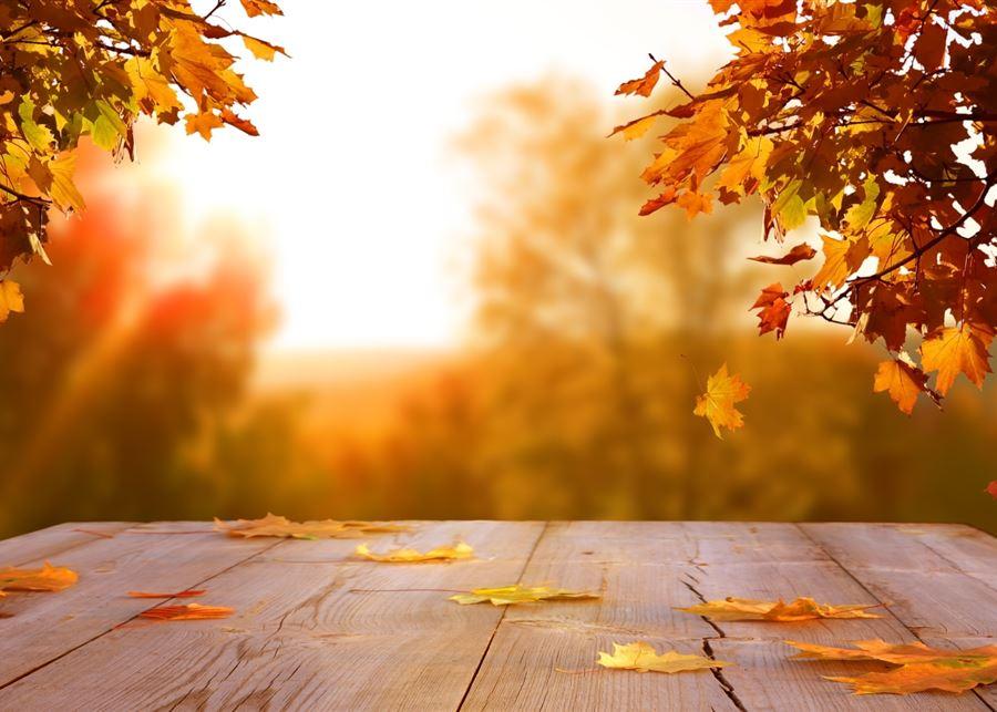 أمطار وثلوج تسبق عودة الاستقرار وارتفاع الحرارة مجدداً