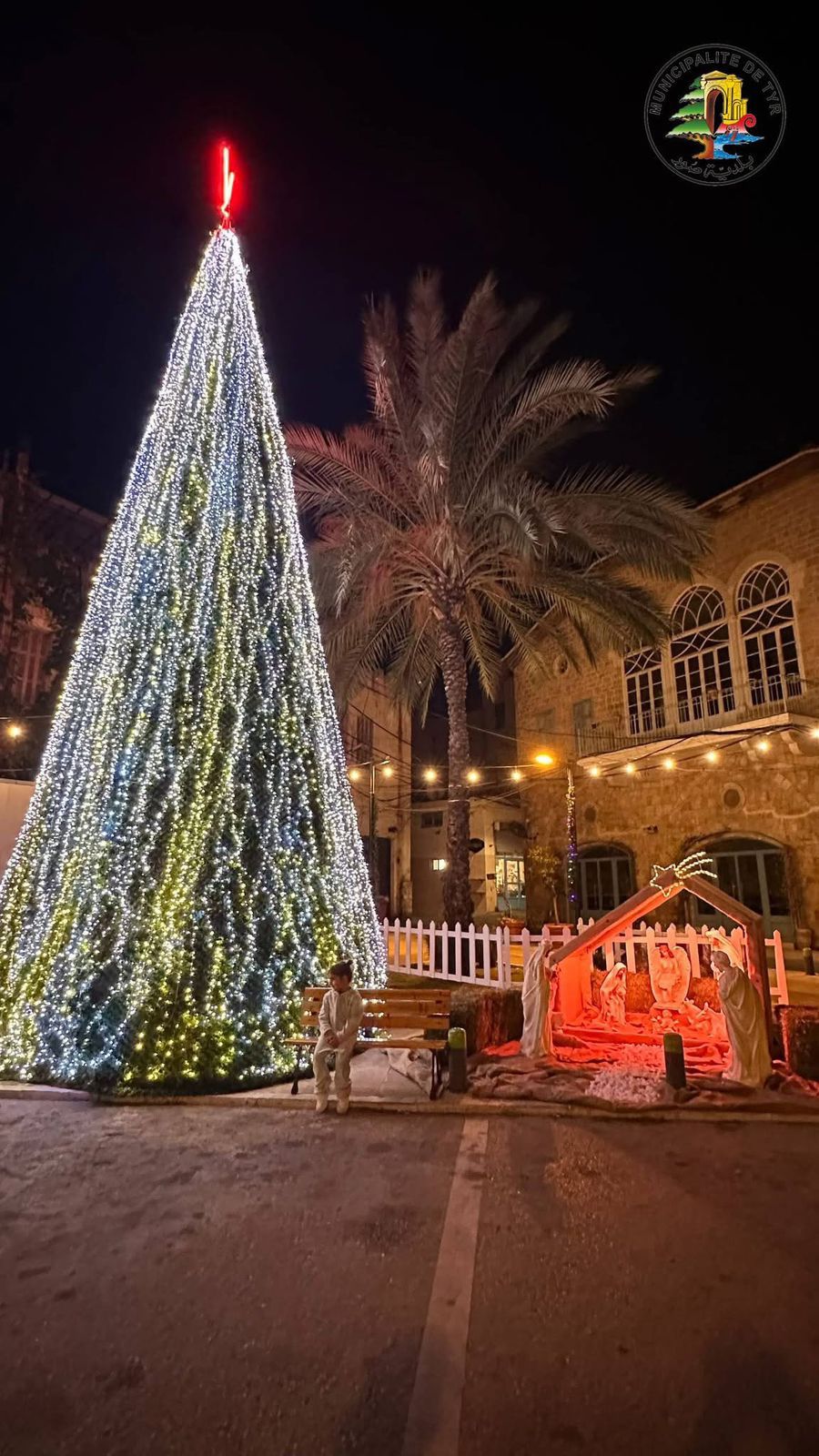 صور تُضيء شجرة الميلاد