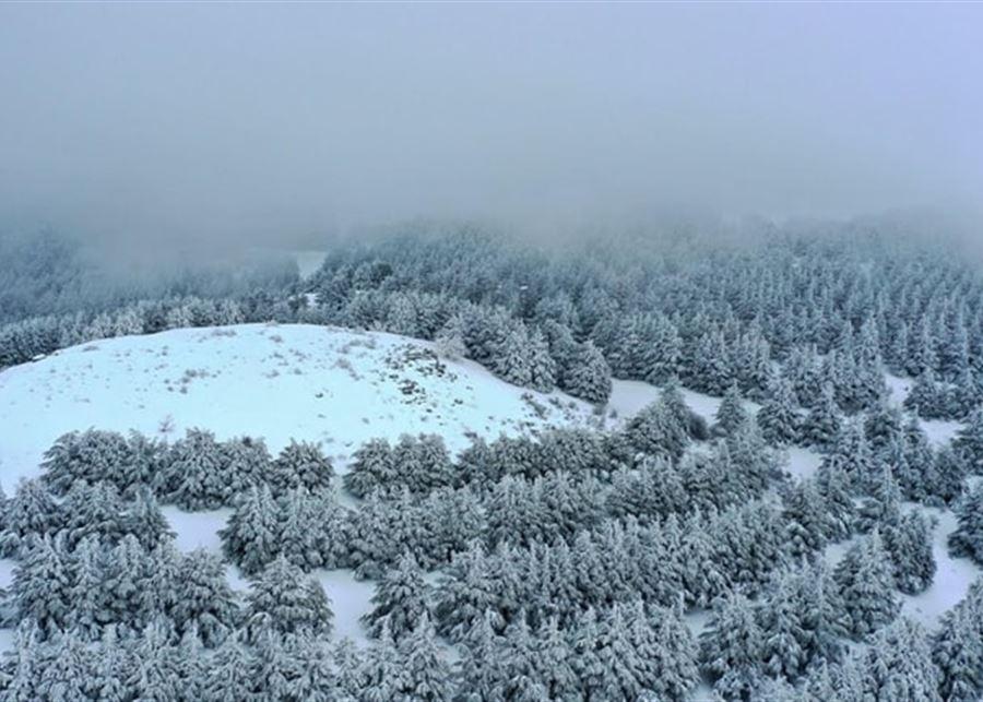 ثلوج وأمطار غزيرة وموجة صقيع.. وتحذير!