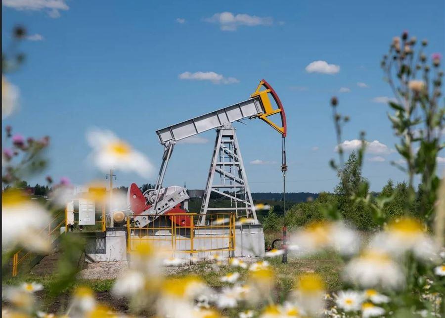 النفط يتراجع بفعل محادثات السلام في أوكرانيا