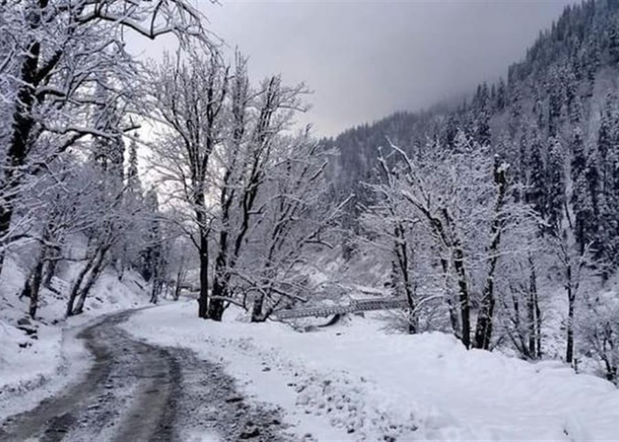 الثلوج قطعت طريقهم