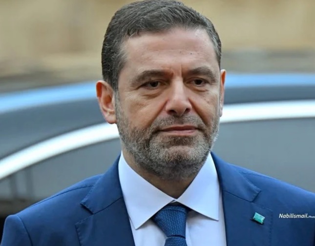 الحريري يستقبل بو صعب في بيت الوسط