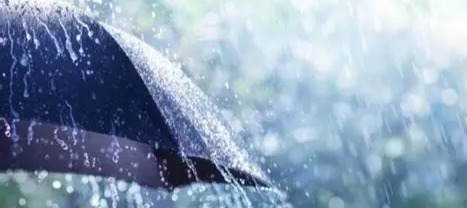 أمطار غزيرة غدا ورياح قوية وثلوج ليلا مع ضباب على المرتفعات