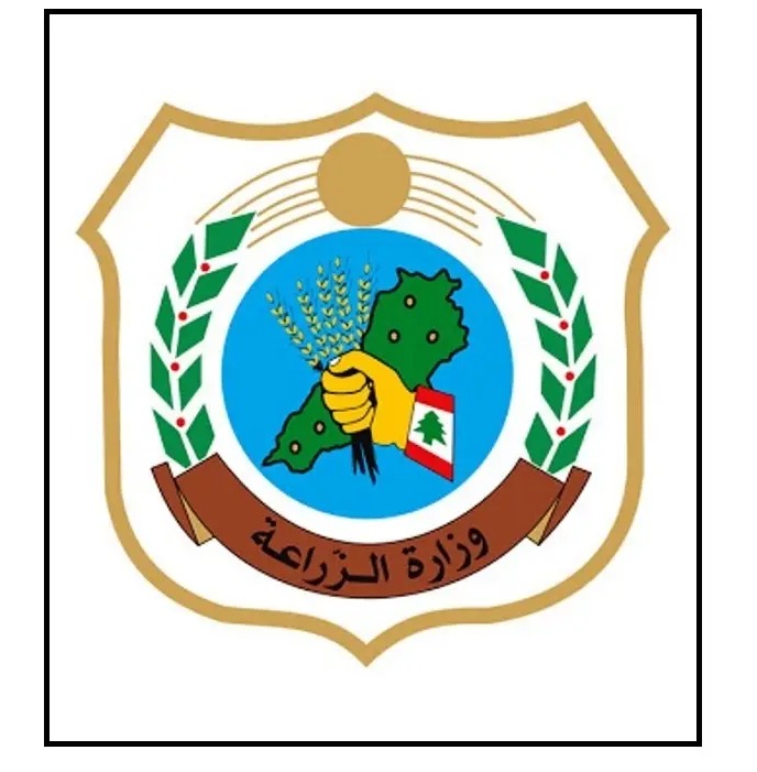 وزارة الزراعة: توافر المحاصيل في الأسواق بصورة طبيعية واستمرار الدعم لتعزيز الأمن الغذائي