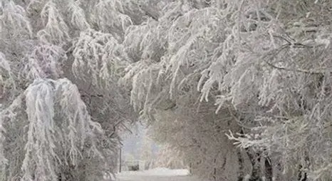 رياح شمالية باردة وموجة من الصقيع والحرارة دون معدلاتها حتى يوم الاثنين