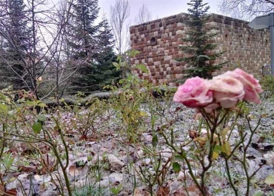 الشتاء يمدد ايامه... ثلوج وامطار غزيرة!