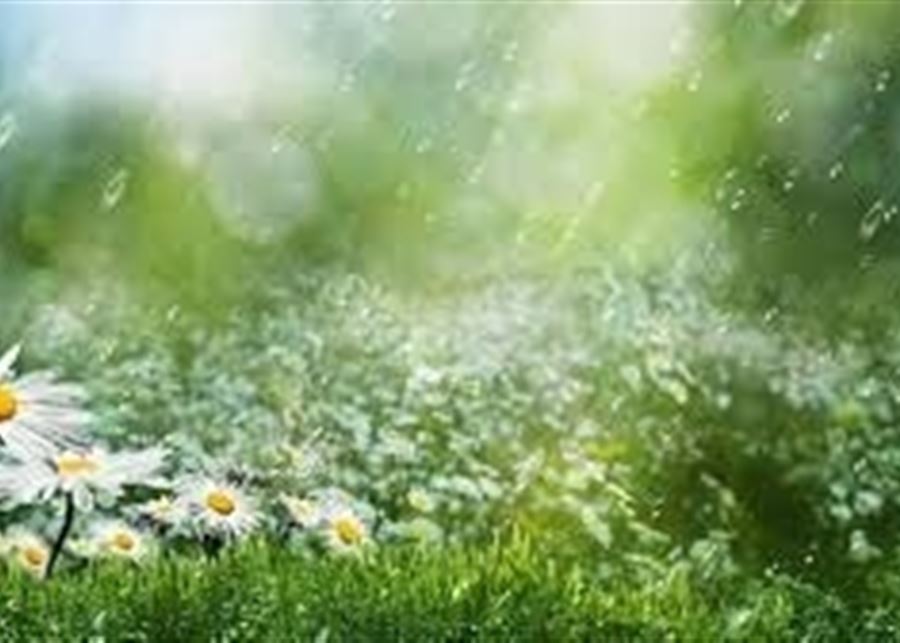 الطقس: ضباب وامطار... ويستقر نهاية الاسبوع!