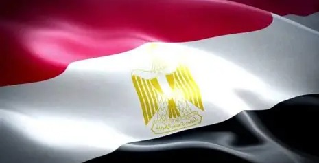 عمرو موسى: تحية لكل من آمن بأن مصر تستطيع