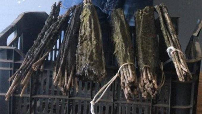 أوقف بجرم مخالفة قانون الصيد البري... وهذا ما ضُبط بحوزته