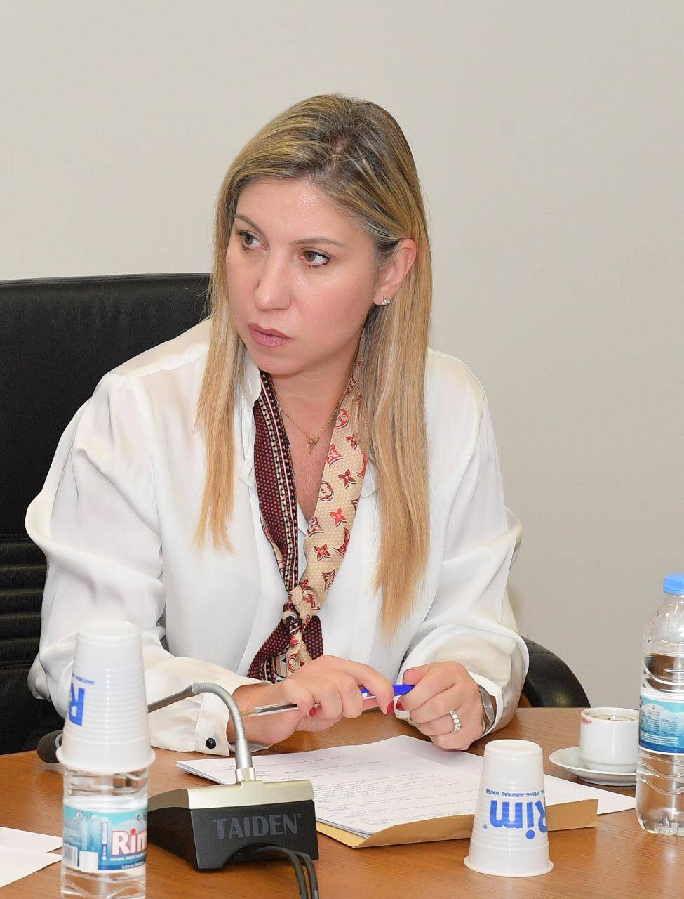 الطبش: تحميل الحريري مسؤولية الأزمات الحالية محاولة فاشلة