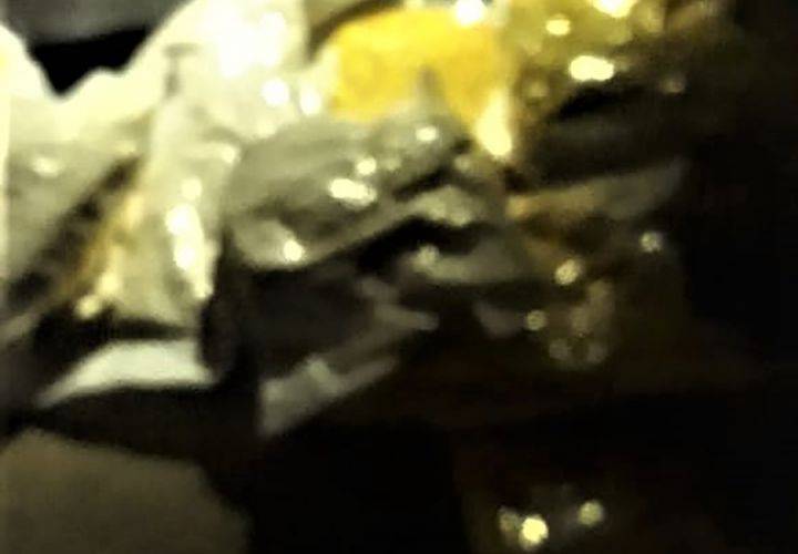ضبط مقطورة بداخلها كمية كبيرة من المخدرات